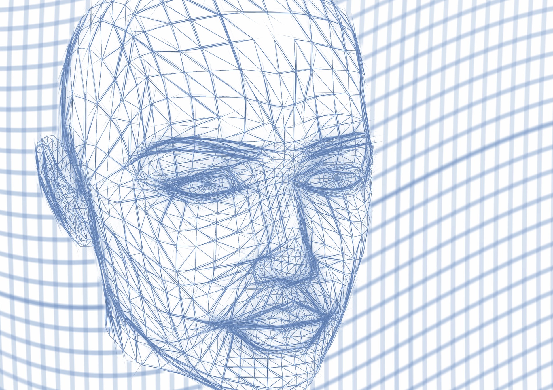 User Study